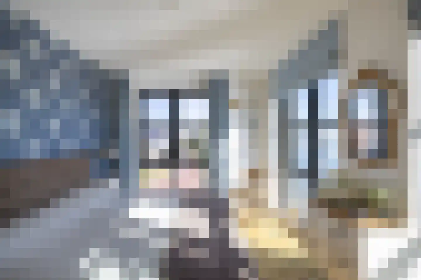 Langezand 47 Harderwijk thumbnail 33