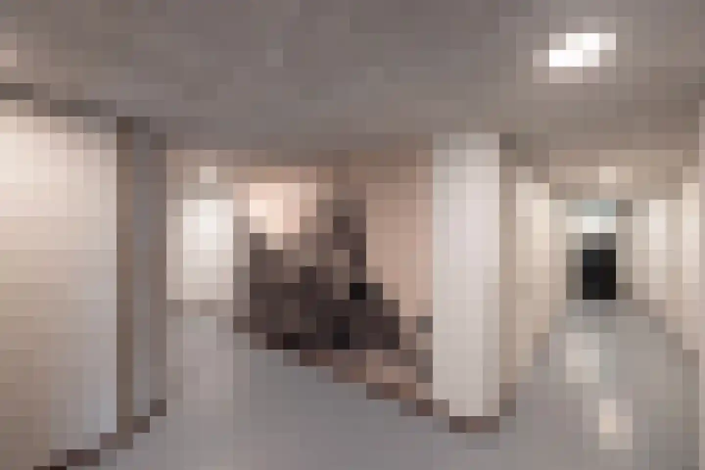Langezand 47 Harderwijk thumbnail 39