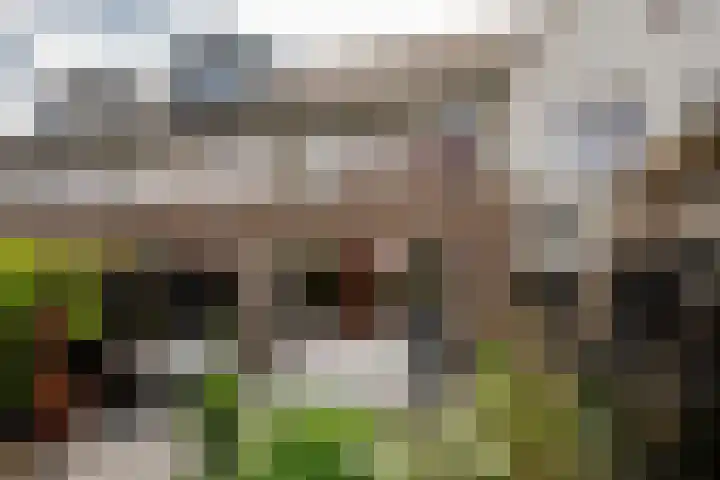 Langezand 50 Harderwijk thumbnail 31