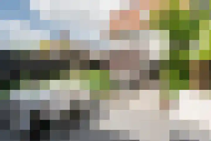 Langezand 50 Harderwijk thumbnail 33
