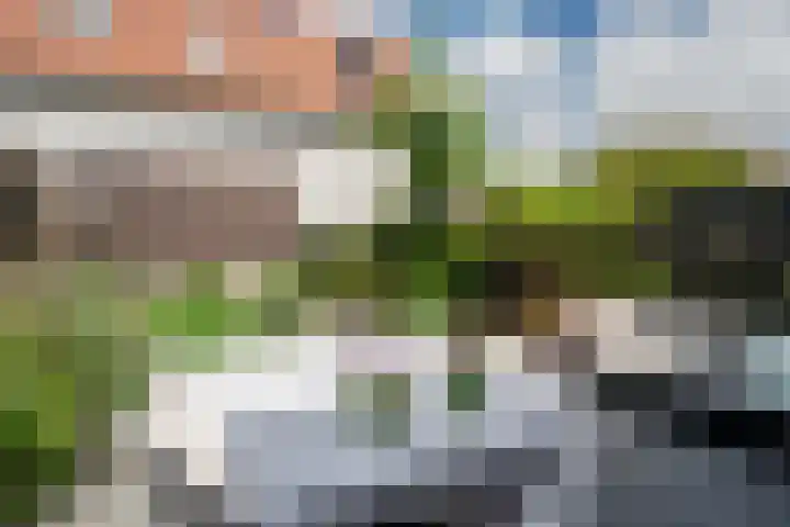Langezand 50 Harderwijk thumbnail 34