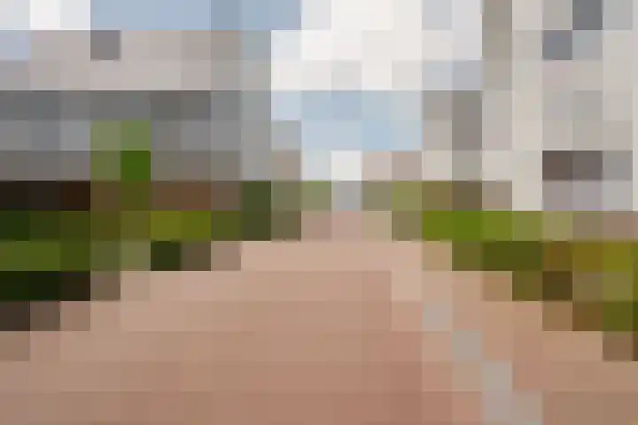 Langezand 50 Harderwijk thumbnail 39