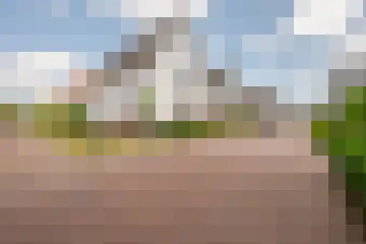 Langezand 50 Harderwijk thumbnail 40