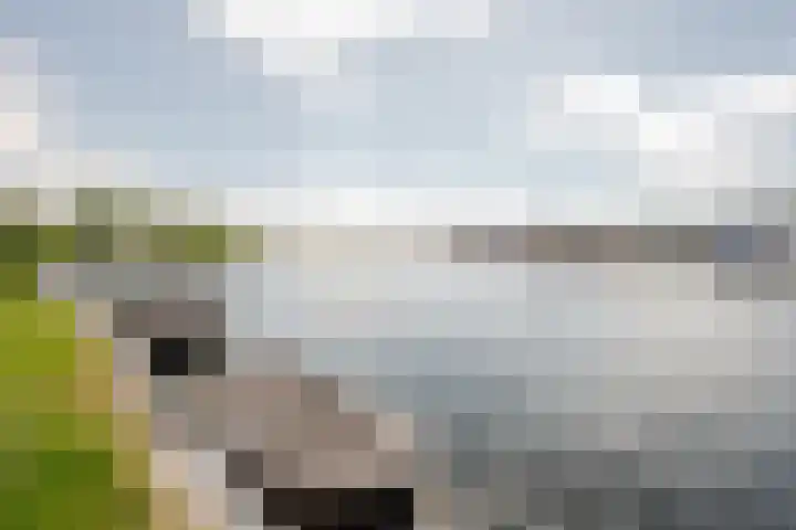 Langezand 50 Harderwijk thumbnail 41