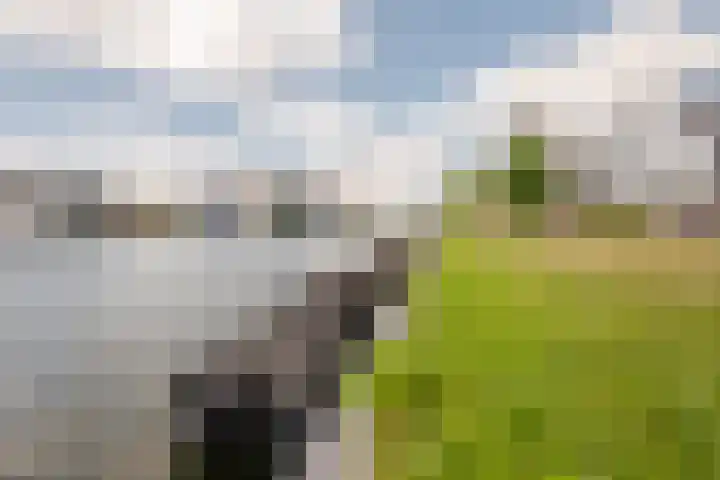Langezand 50 Harderwijk thumbnail 42