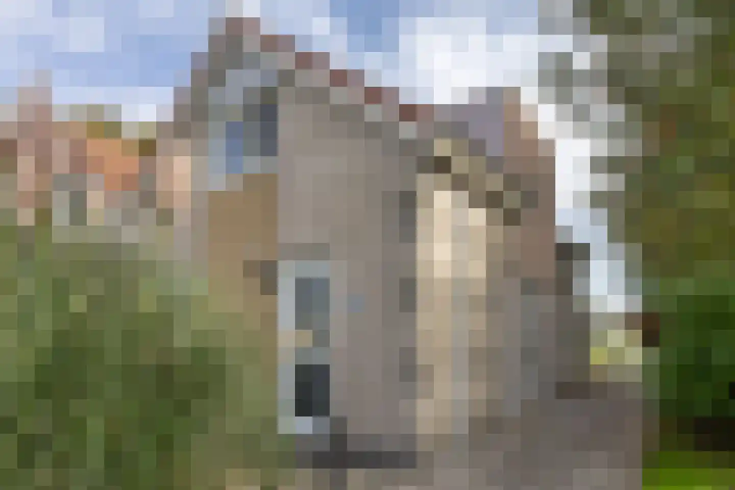 Langezand 53 Makkum thumbnail 36