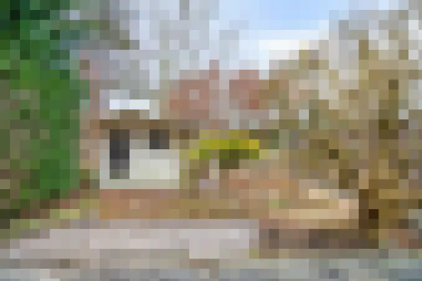 Langezand 55 Lelystad thumbnail 57