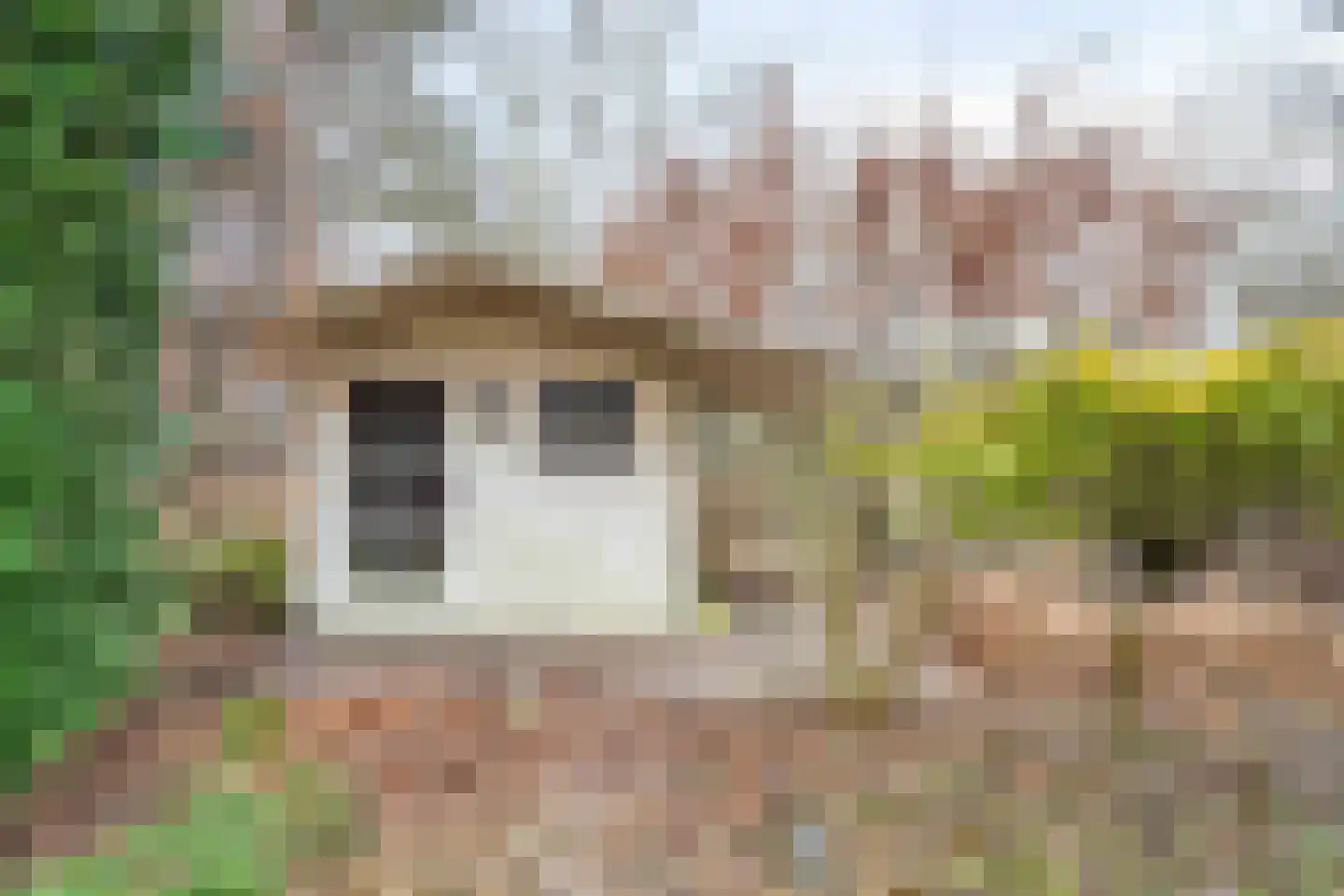 Langezand 55 Lelystad thumbnail 58