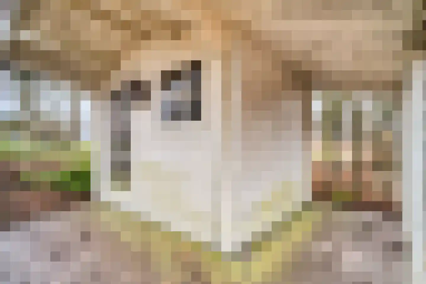 Langezand 55 Lelystad thumbnail 59