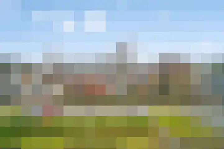 Langezand 55 Lelystad thumbnail 65