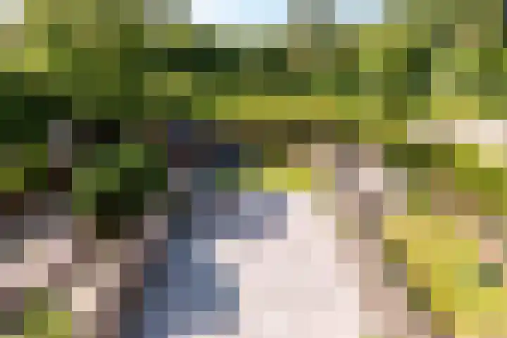 Langezand 62 Lelystad thumbnail 30
