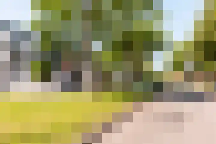 Langezand 62 Lelystad thumbnail 38