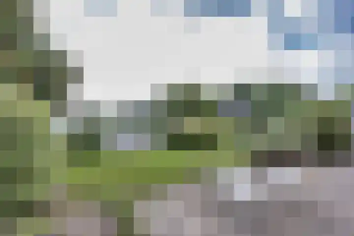 Langezand 7 Makkum thumbnail 34