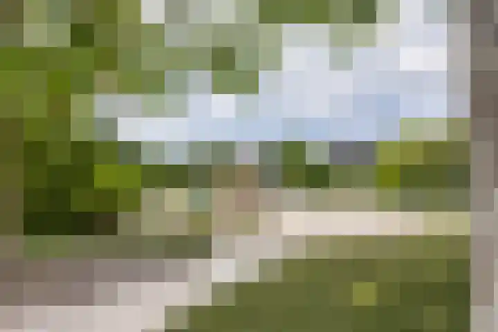 Langezand 7 Makkum thumbnail 43