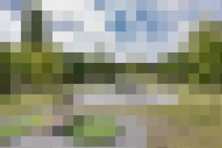 Langezand 7 Makkum thumbnail 45