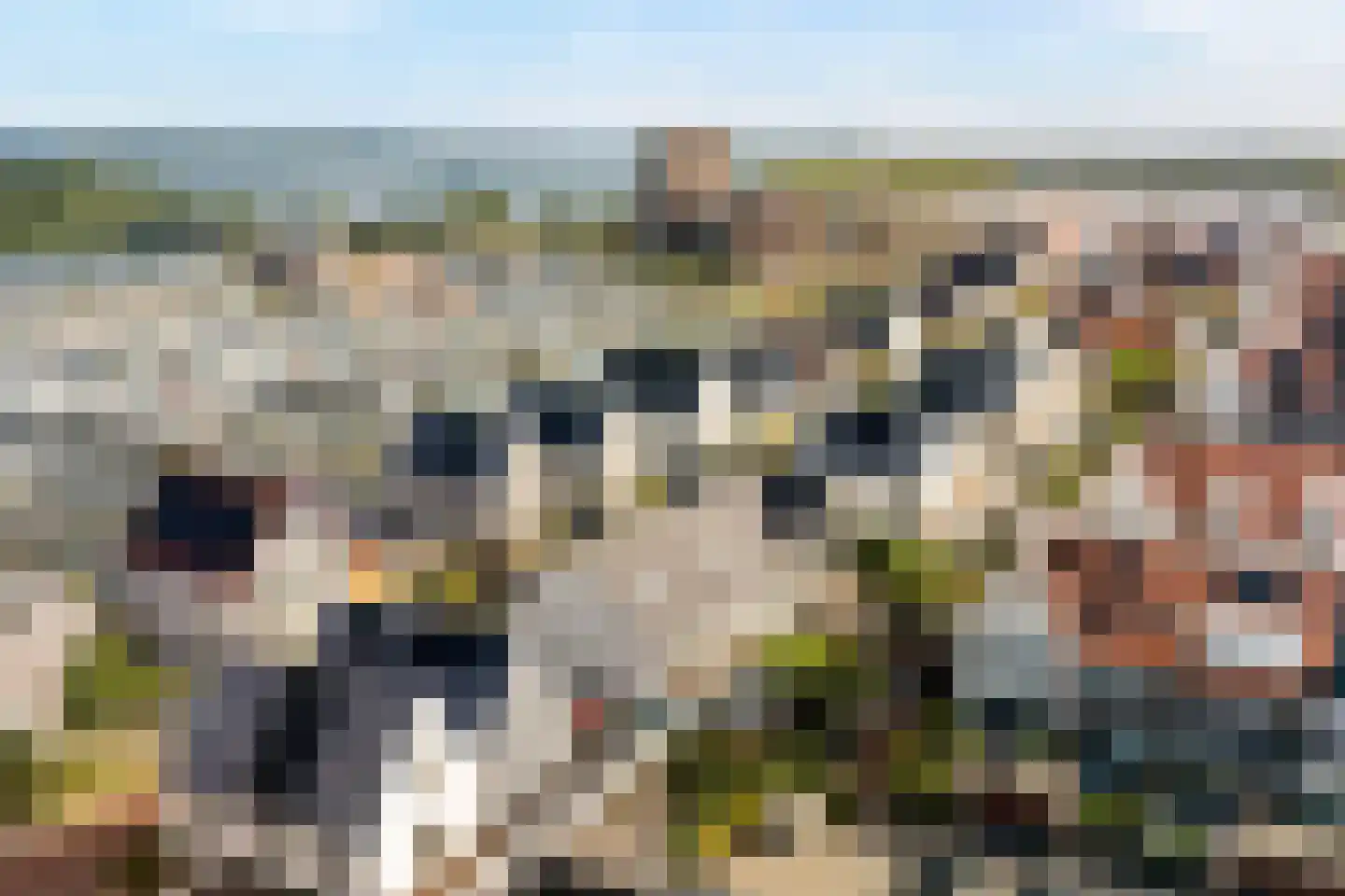 Langezand 74 Harderwijk thumbnail 43