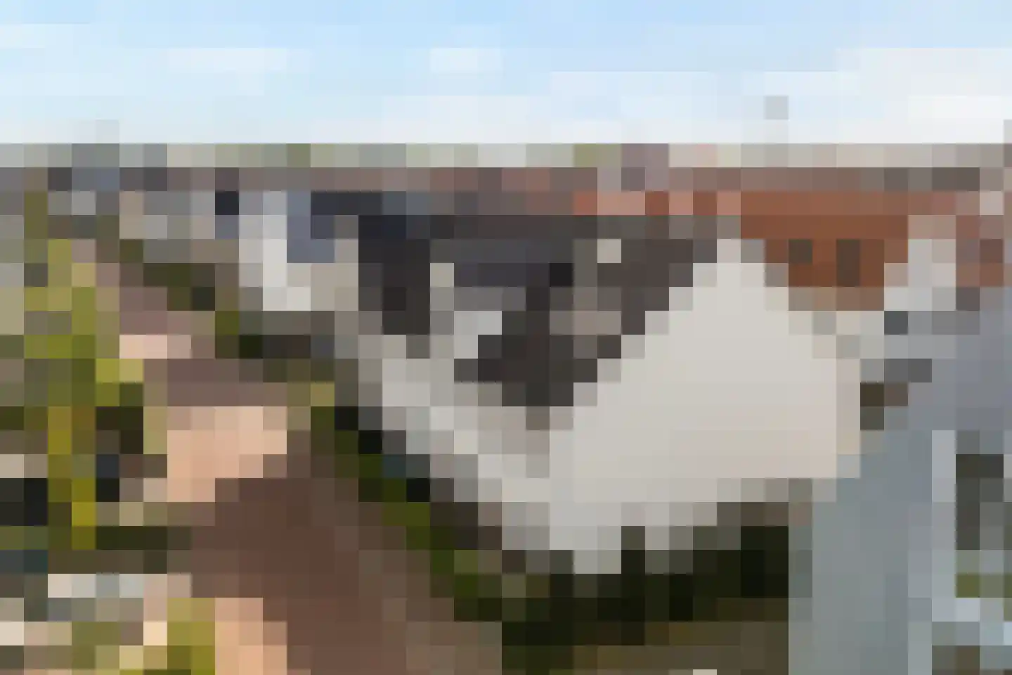 Langezand 74 Harderwijk thumbnail 44