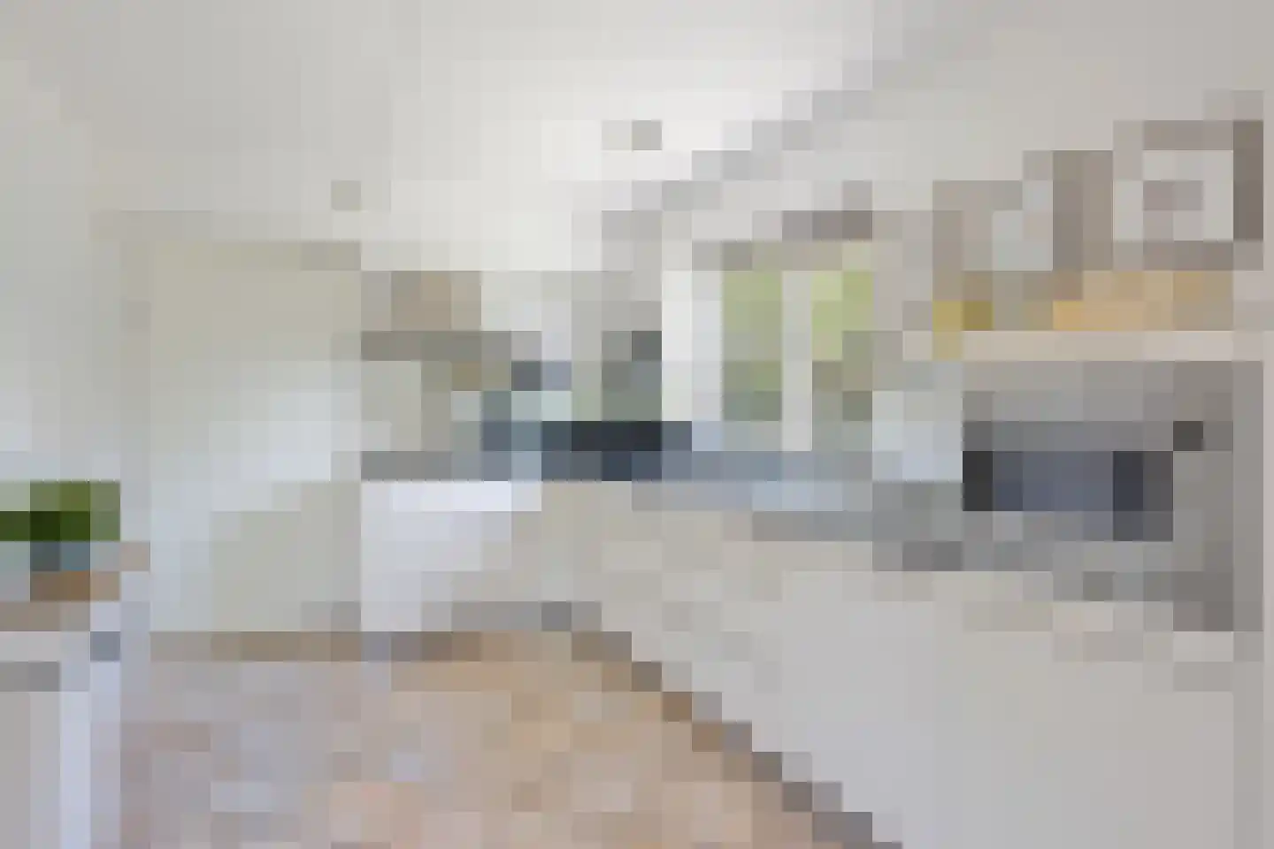 Langezand 8 Makkum thumbnail 15