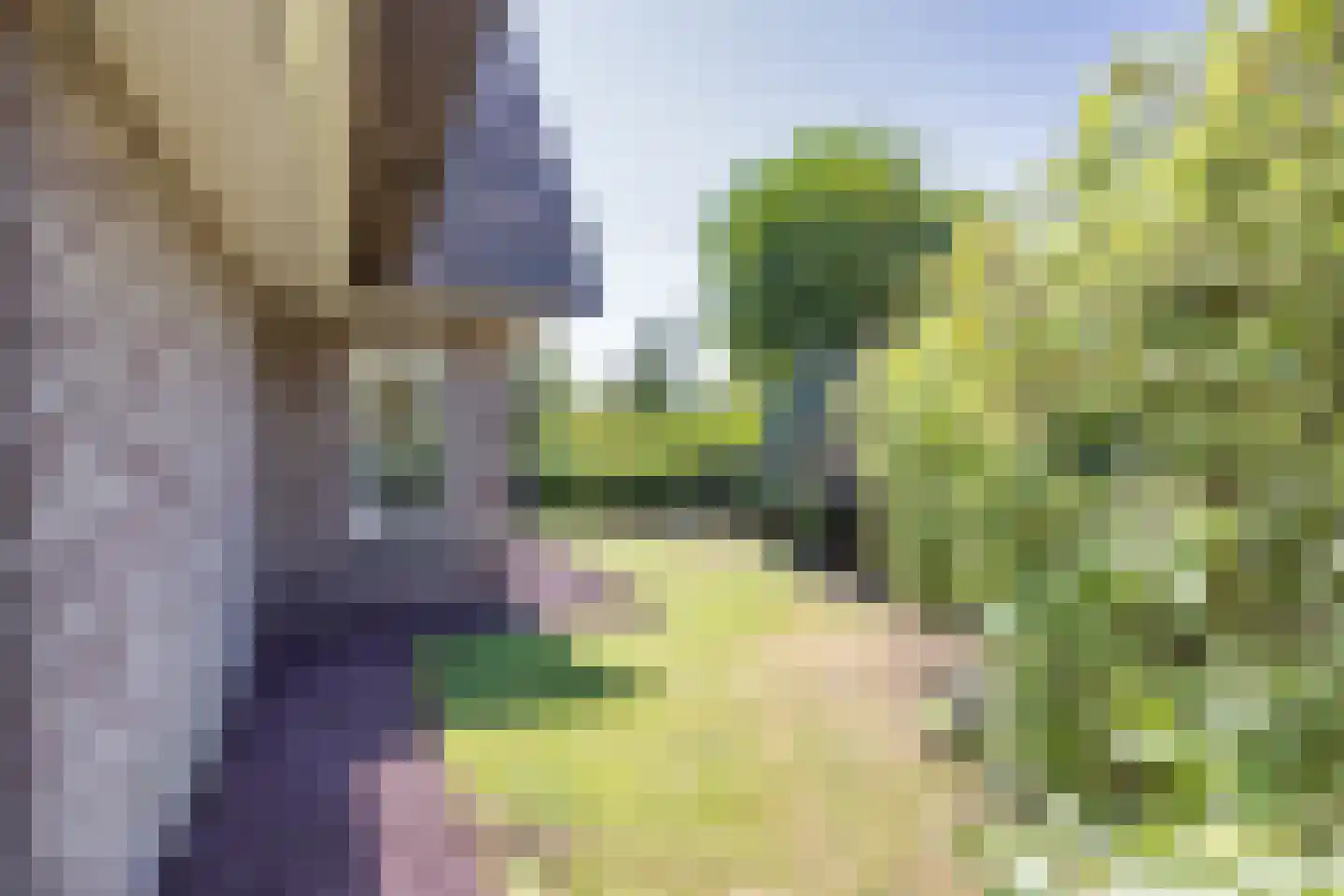 Langezand 8 Makkum thumbnail 35