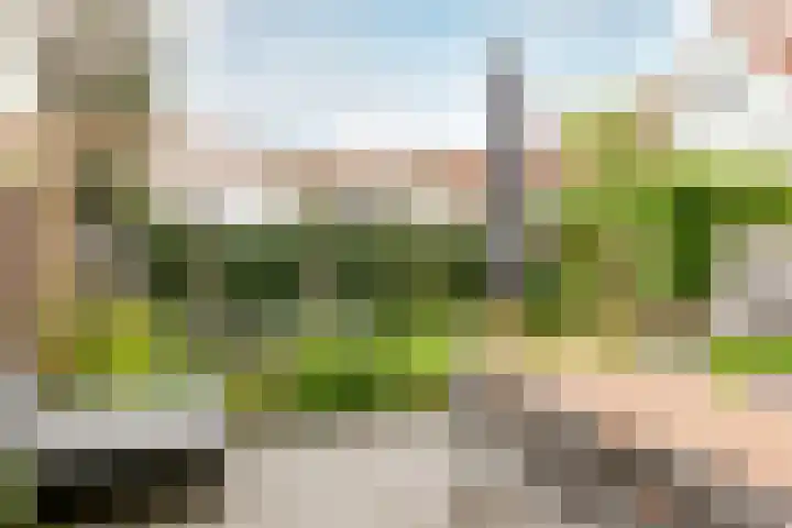 Langezand 82 Harderwijk thumbnail 31