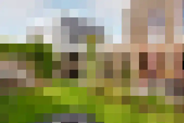 Langezand 82 Harderwijk thumbnail 34