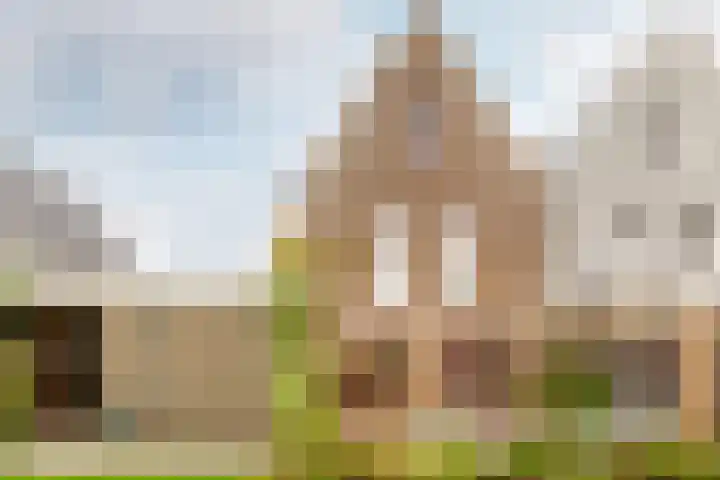 Langezand 82 Harderwijk thumbnail 36