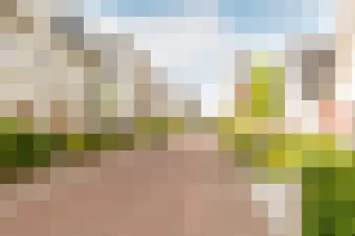 Langezand 82 Harderwijk thumbnail 44