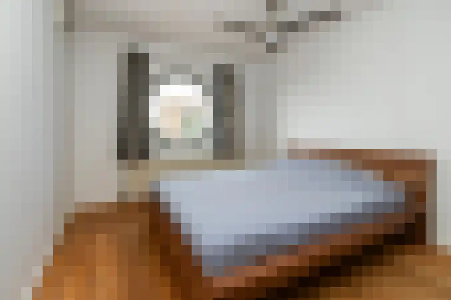 Langgewenst 129 Hilversum thumbnail 10