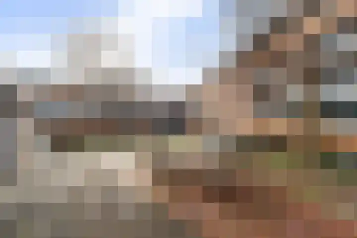 Langgewenst 129 Hilversum thumbnail 18