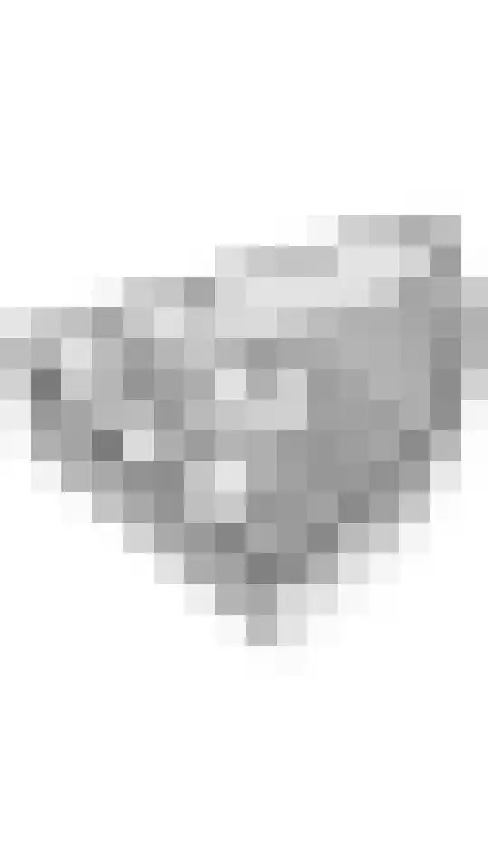 Langgewenst 129 Hilversum thumbnail 22