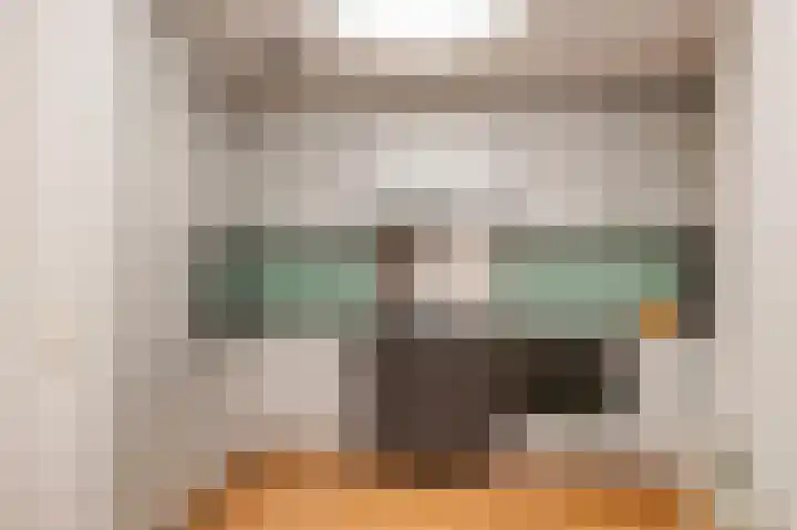 Langgewenst 129 Hilversum thumbnail 7