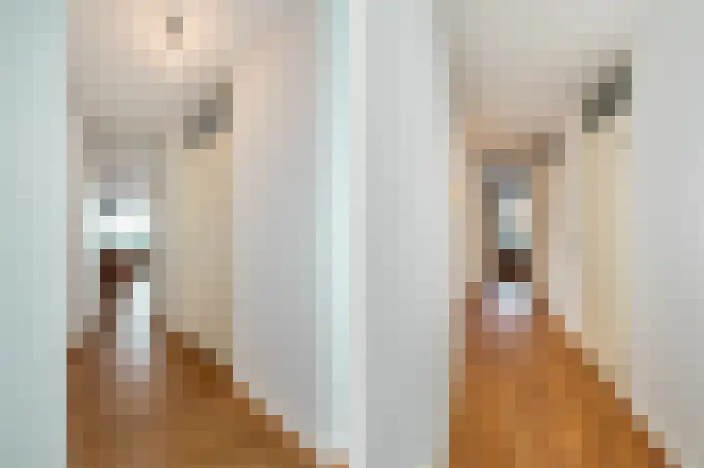 Langgewenst 129 Hilversum thumbnail 9