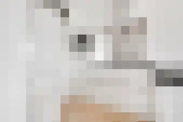 Langgewenst 21 Hilversum thumbnail 9