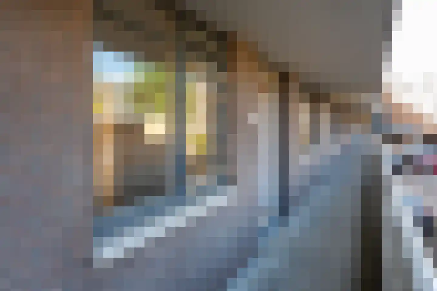 Langgewenst 25 Hilversum thumbnail 17