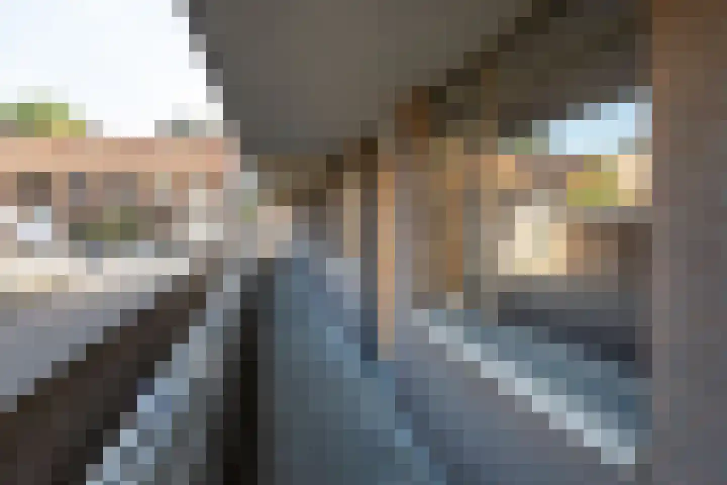 Langgewenst 25 Hilversum thumbnail 18