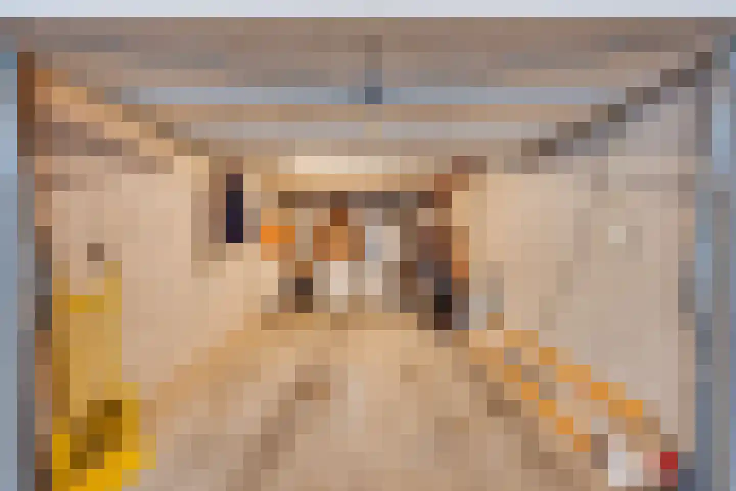 Langgewenst 31 Hilversum thumbnail 4