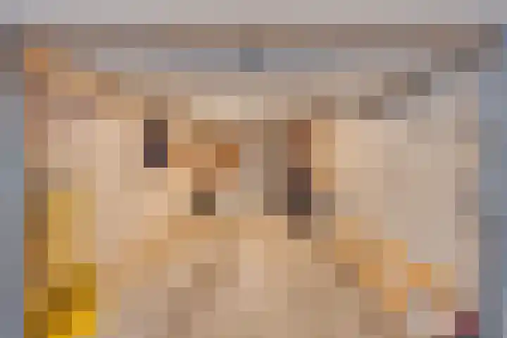 Langgewenst 31 Hilversum thumbnail 4