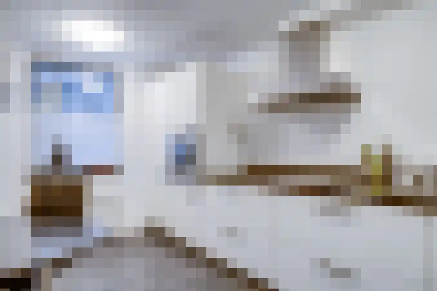 Langgewenst 33 Hilversum thumbnail 21