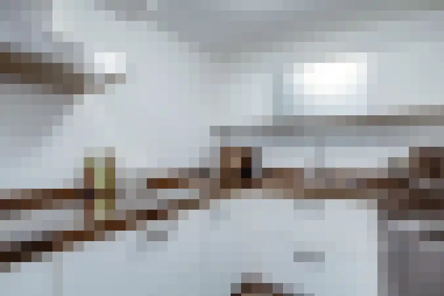 Langgewenst 33 Hilversum thumbnail 25