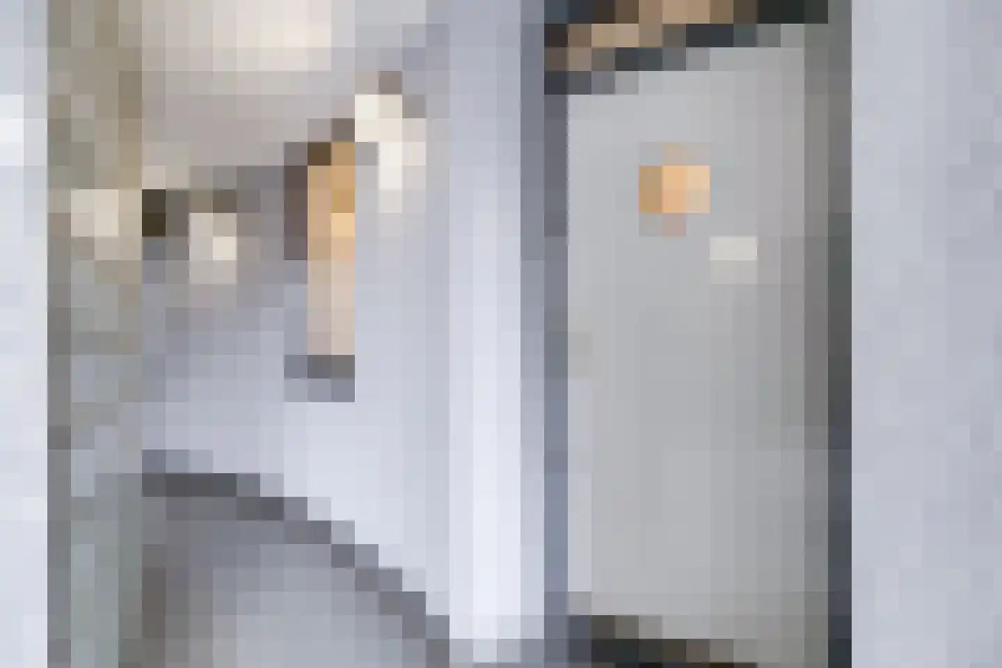 Langgewenst 33 Hilversum thumbnail 39