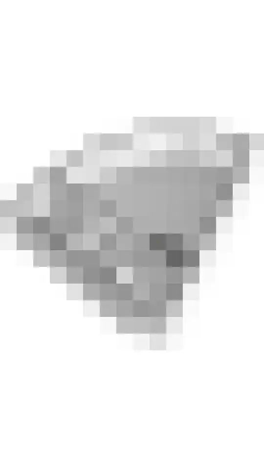 Langgewenst 69 Hilversum thumbnail 24