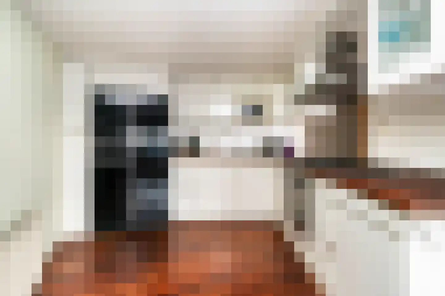 Langgewenst 69 Hilversum thumbnail 5