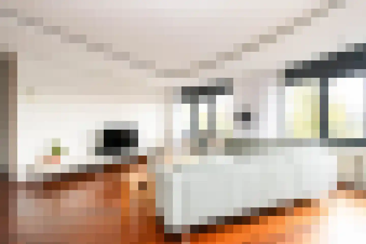 Langgewenst 69 Hilversum thumbnail 6
