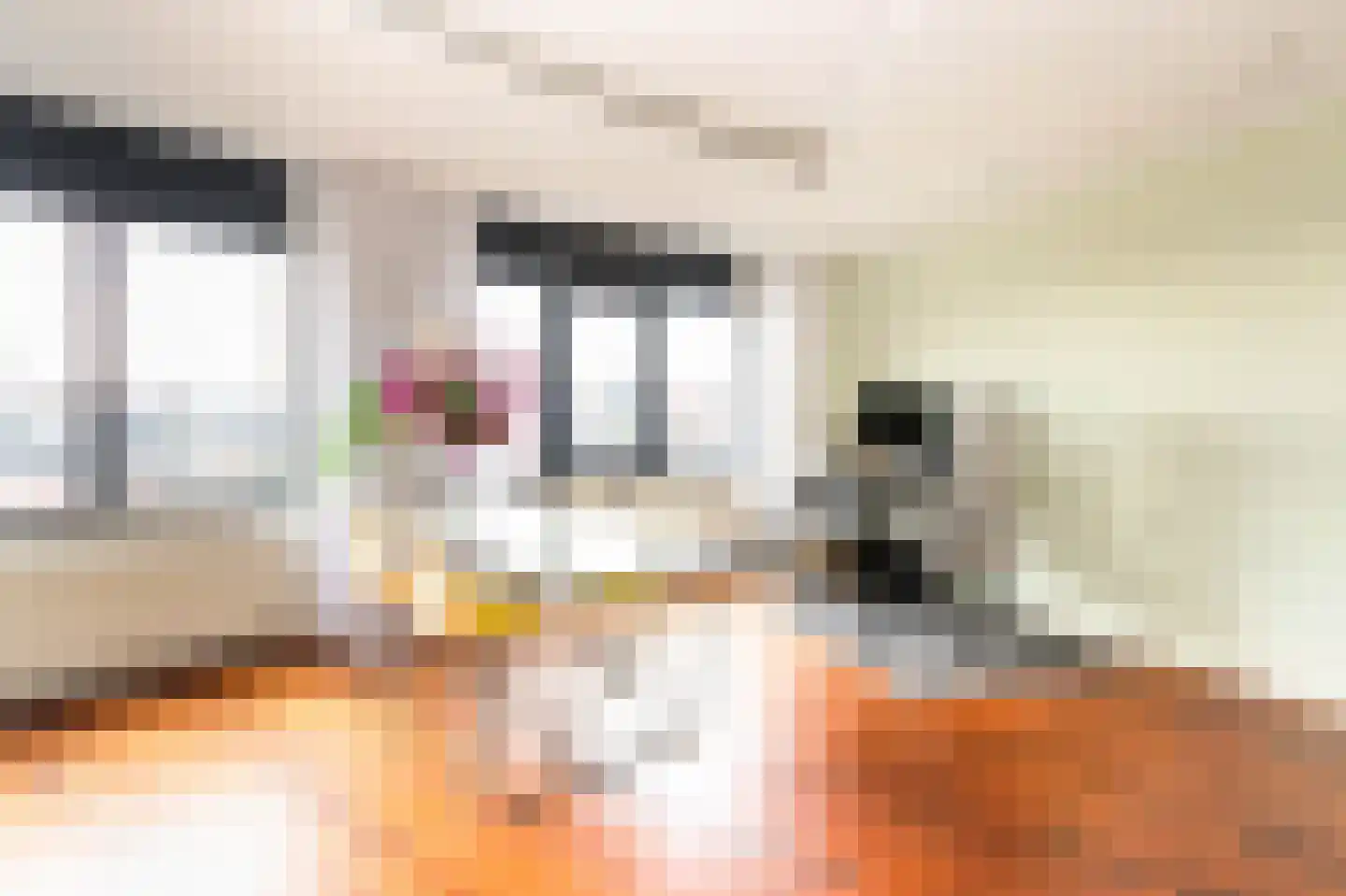 Langgewenst 69 Hilversum thumbnail 8