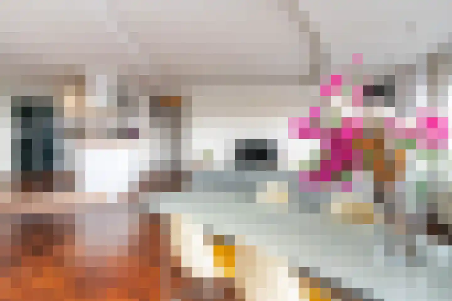 Langgewenst 69 Hilversum thumbnail 9