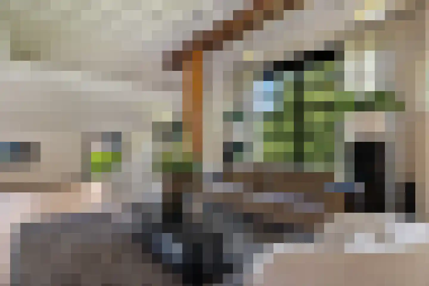 Langgrafweg 1 Emmen thumbnail 10