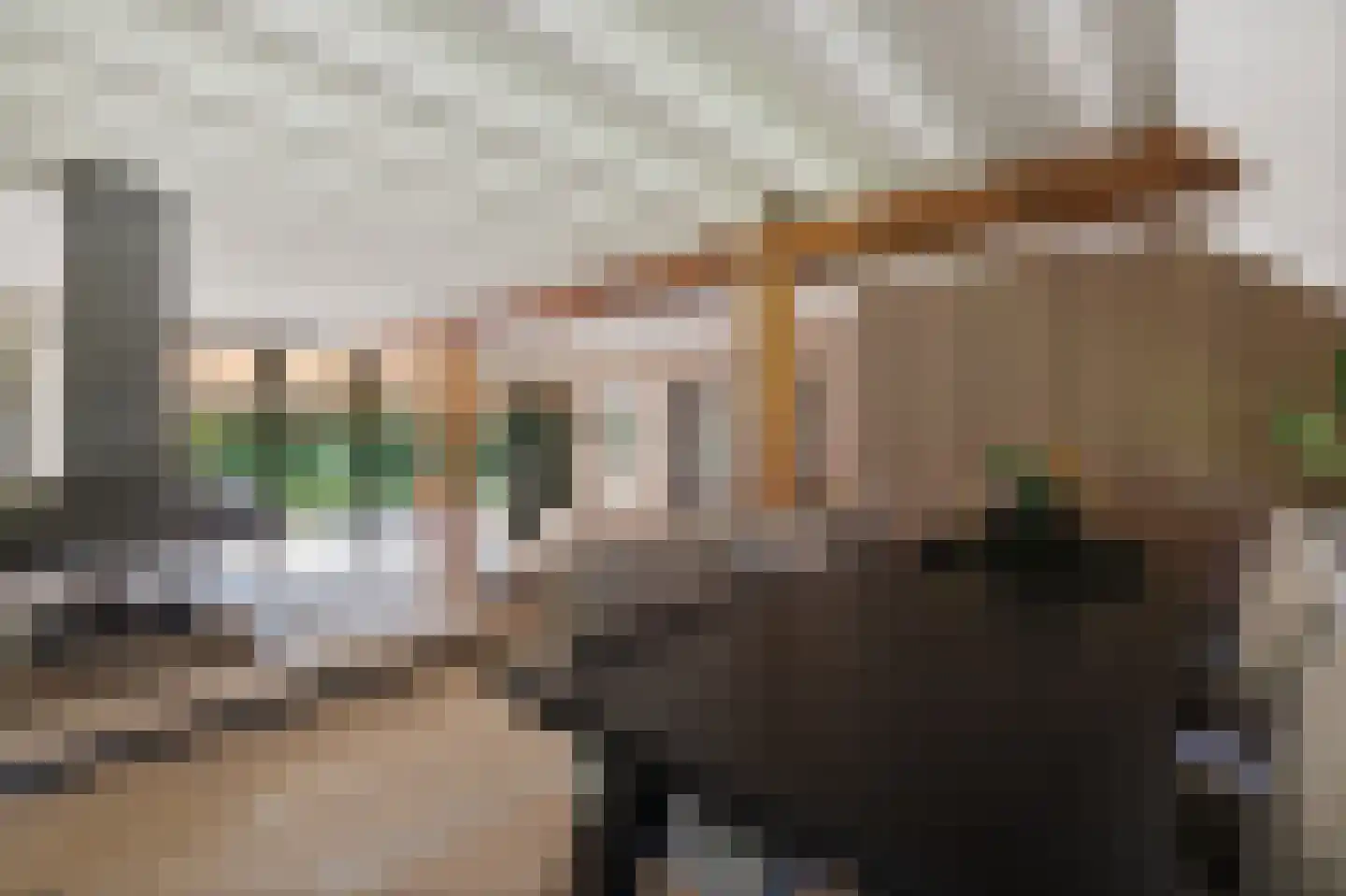 Langgrafweg 1 Emmen thumbnail 14