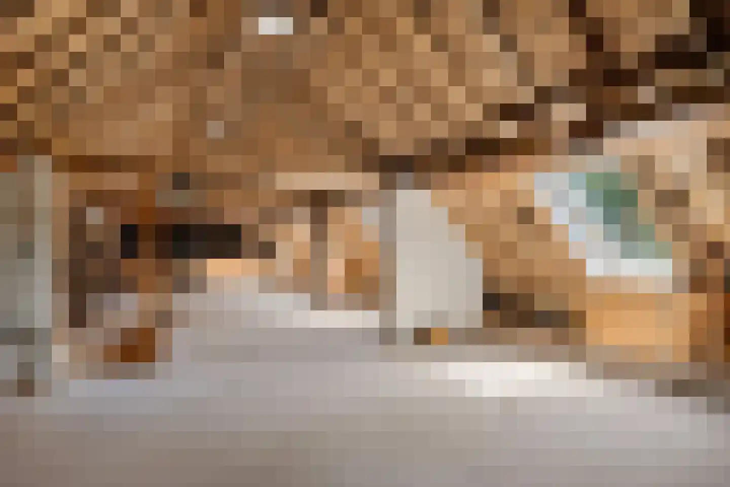 Langgrafweg 1 Emmen thumbnail 24