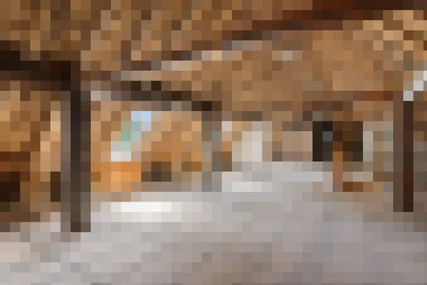 Langgrafweg 1 Emmen thumbnail 25