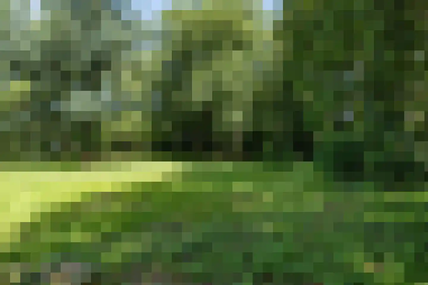 Langgrafweg 1 Emmen thumbnail 29